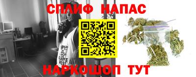 стаф Анапа