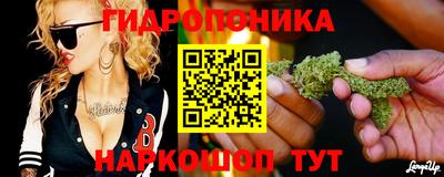 стаф Анапа