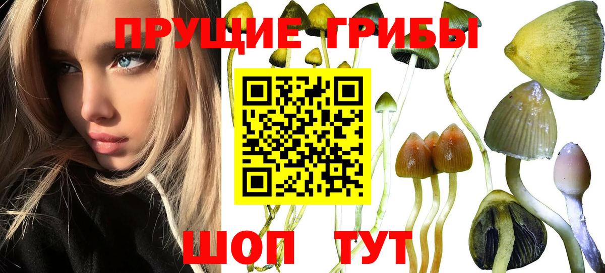 Псилоцибиновые грибы MAGIC MUSHROOMS Казань